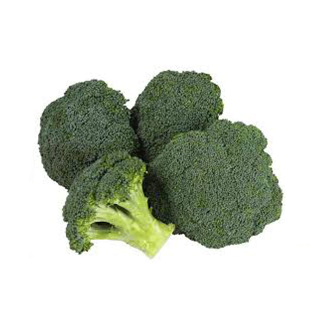 Broccoli - Large (each)