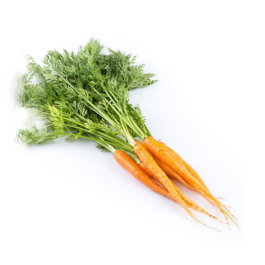 Carrots - Dutch (Bunch)