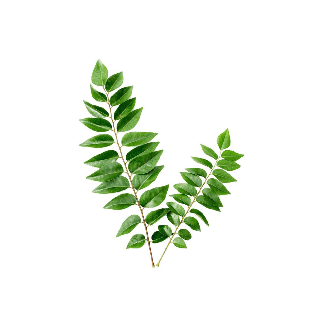 Curry Leaves (100g)