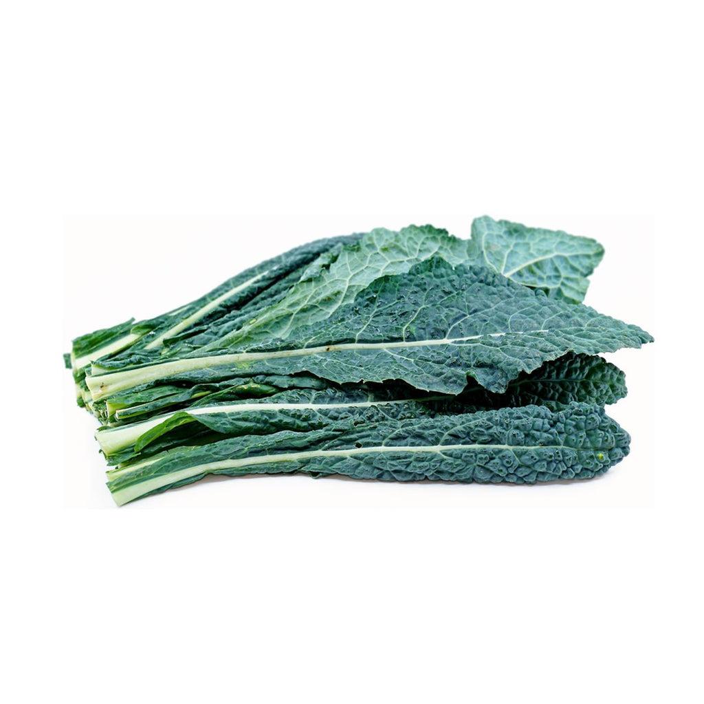 Kale - Tuscan (Bunch)