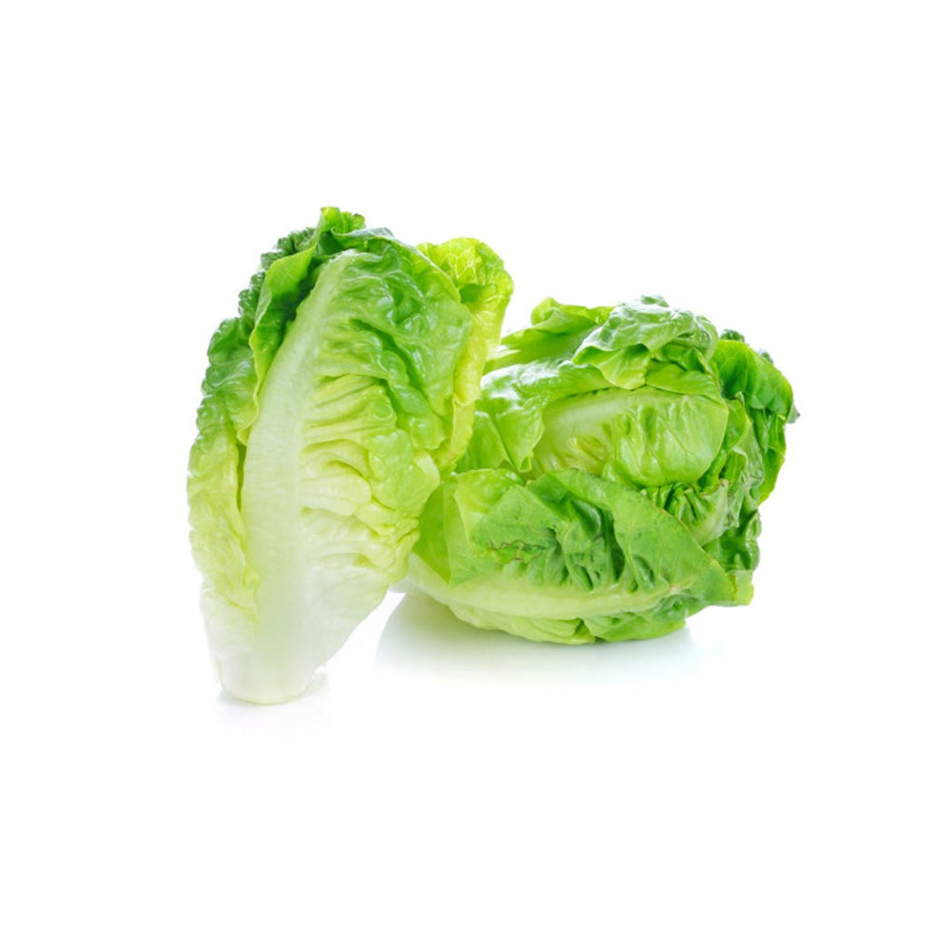 Lettuce - Baby Cos (Pack)