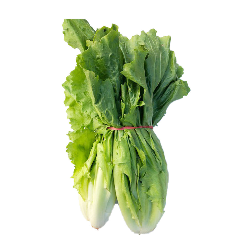 Lettuce - Romano (Bunch)