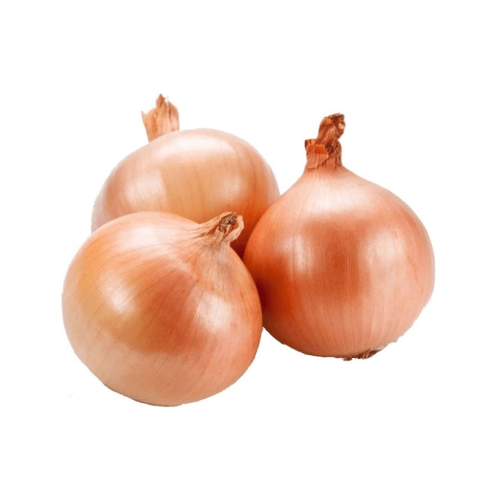 Onions - Brown (each)