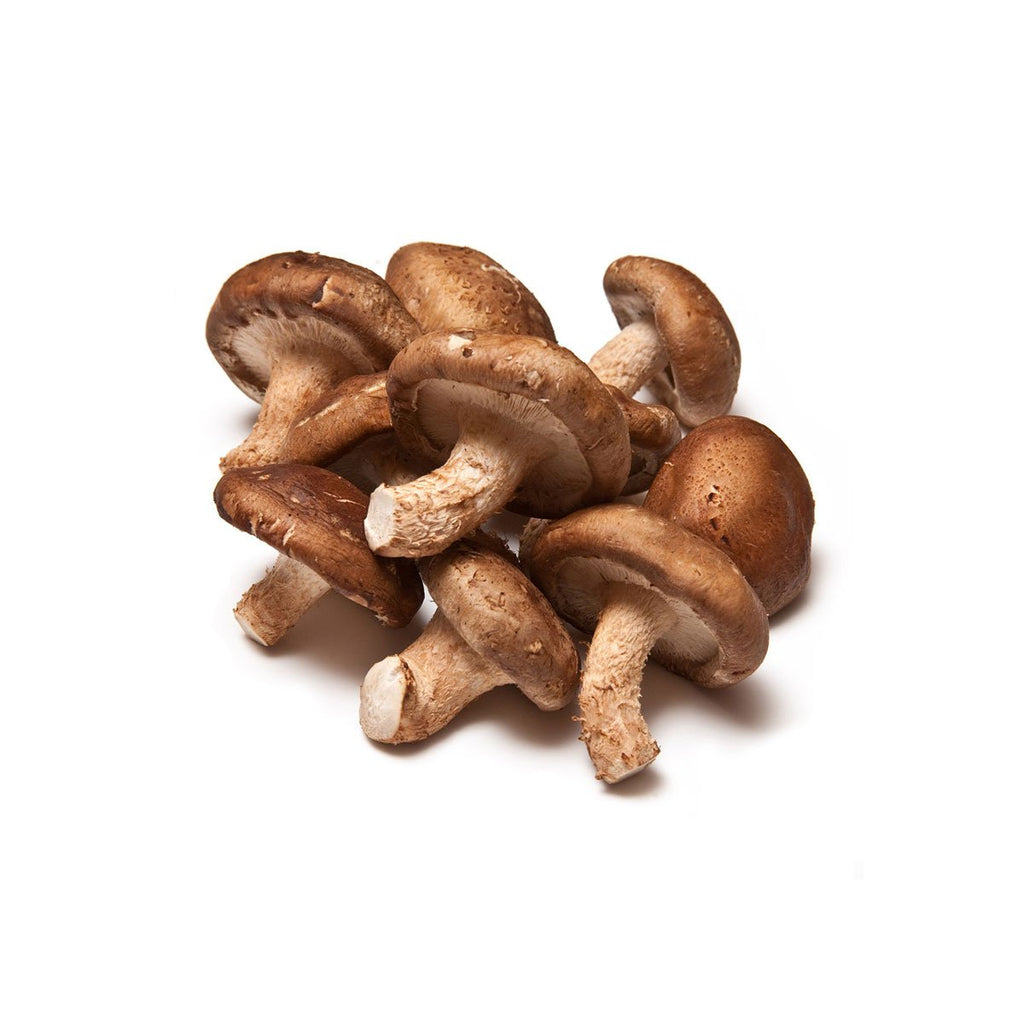 Mushroom - Shitake (Pack)