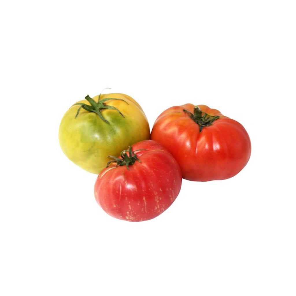 Tomato - Heirloom XL (each)