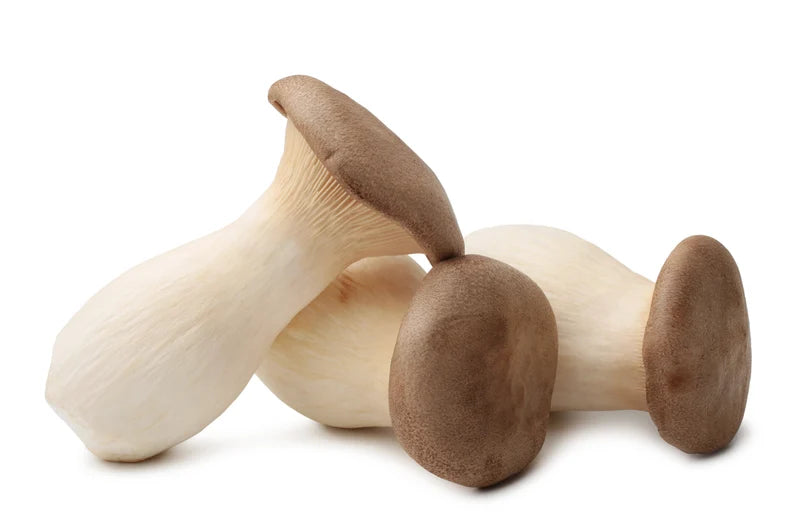 Mushroom - King Oyster pack