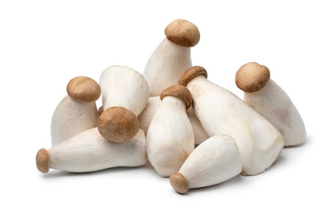 Mushroom - Baby King Oyster (Pack)