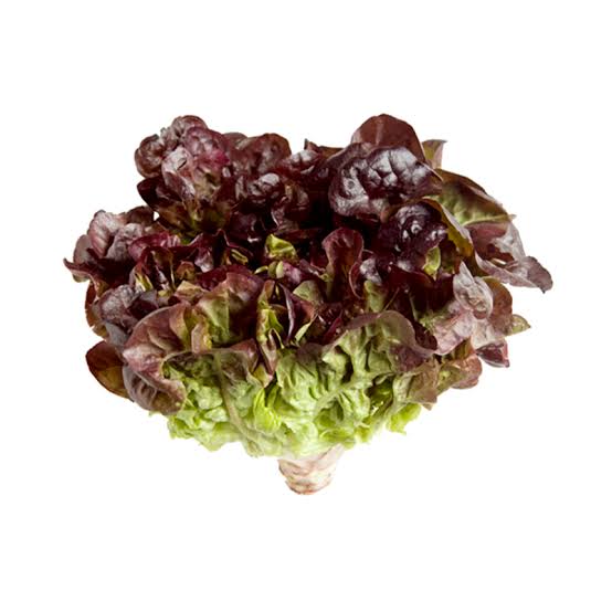 Lettuce - Red Oak (each)